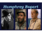 Humphrey Bogart's Academy Award nominated roles