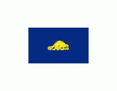 Flag of Oregon (reverse side)