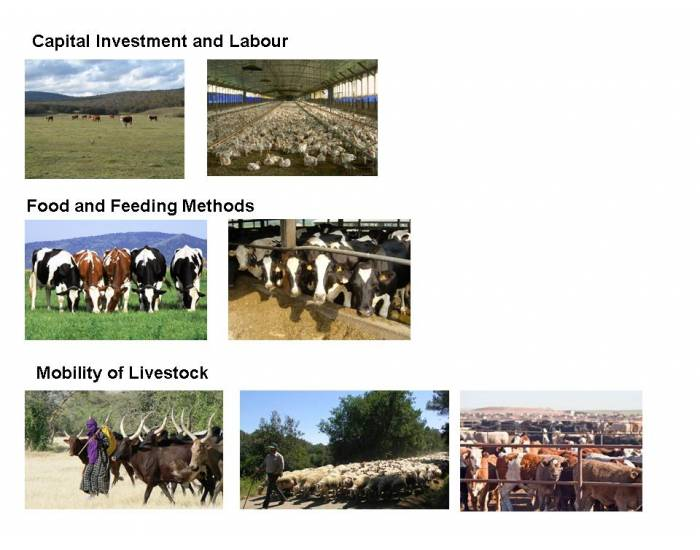 types-of-livestock-farming-quiz