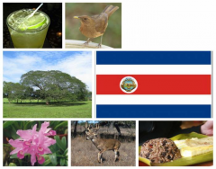 National Symbols of Costa Rica