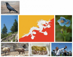 National Symbols of Bhutan