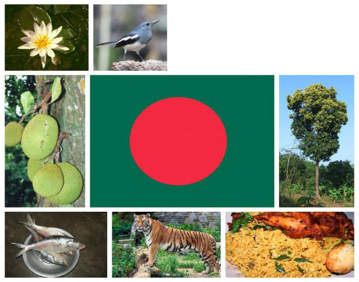 national-symbols-of-bangladesh-quiz