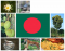 National Symbols of Bangladesh