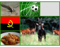 National Symbols of Angola