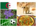National Symbols of Algeria