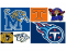 Sports Teams of Tennessee