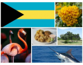 National Symbols of the Bahamas