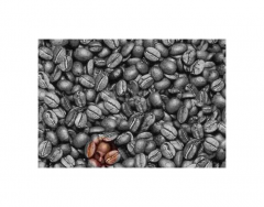 Hidden Man in the Coffee Beans Answer