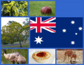National Symbols of Australia