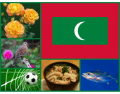 National Symbols of Maldives