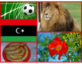National Symbols of Libya