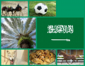 National Symbols of Saudi Arabia