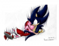 Sonic Shadow SIlver Quiz