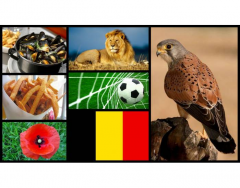 National Symbols of Belgium