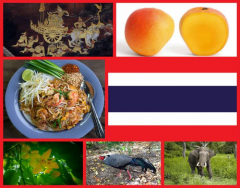 National Symbols of Thailand
