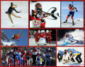 Winter Olympics Sports (part 1)