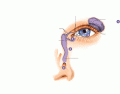 Lacrimal Apparatus