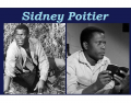 Sidney Poitier's Academy Award nominated roles