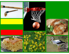 National Symbols of Lithuania