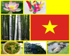 National Symbols of Vietnam