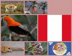 National Symbols of Peru