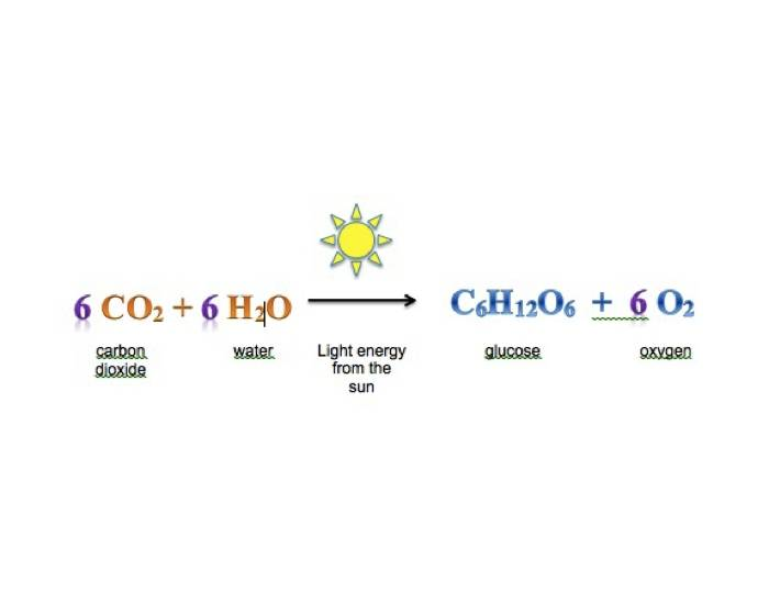 chemical formula for photosynthesis