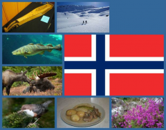 National Symbols of Norway