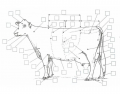 Dairy Cattle Parts