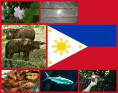 National Symbols of the Philippines