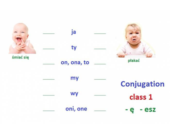 polish-conjugations-class-1-verbs-printable-worksheet