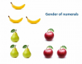 Polish numbers - Gender in Nominative