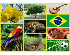 National Symbols of Brazil