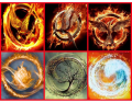 The hunger games serie and Divergent series