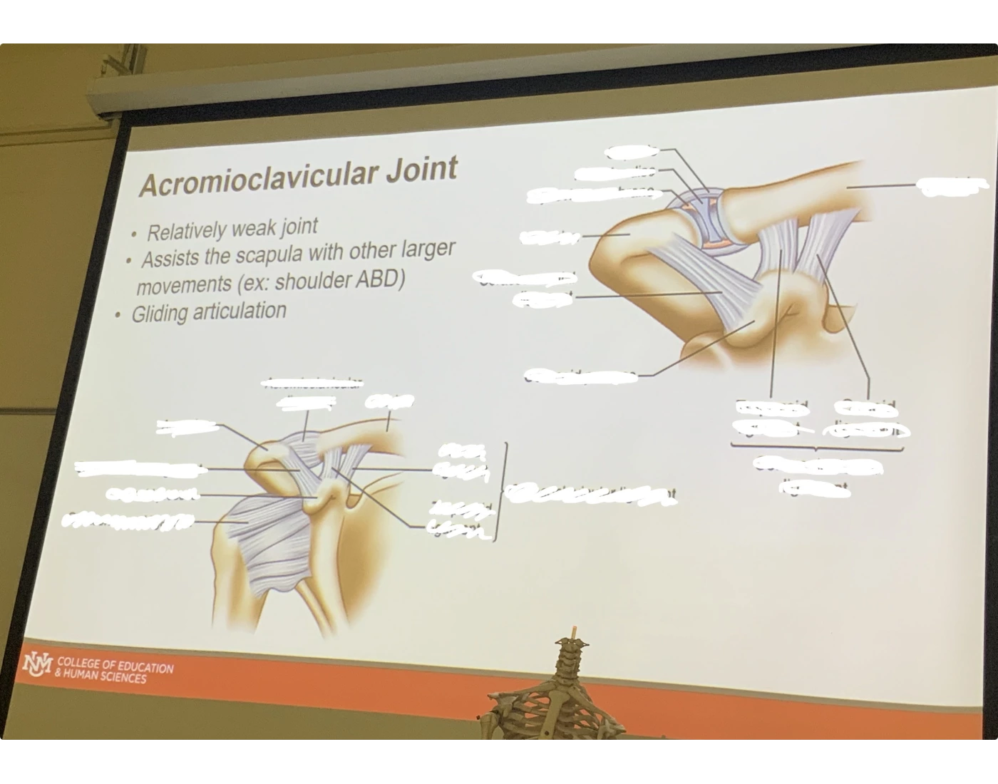Purpose Icon Draw Acromioclavicular Joint Anatomy — Printable Worksheet