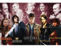 Narnia, Percy jackson, Harry Potter, The hunger games, lord 
