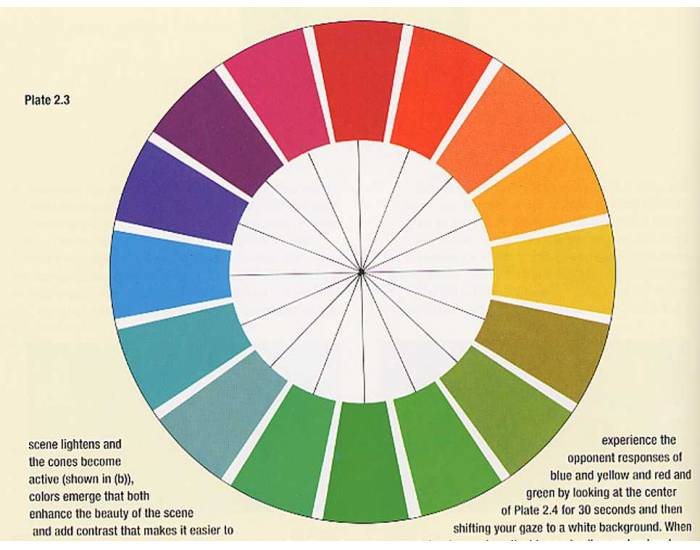 Trivia Color Wheel Colour Wheel Quiz