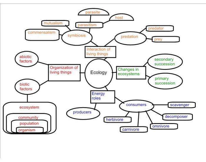 Ecology Unit Concept Map Quiz 3607