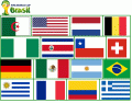 FIFA World Cup 2014 - Round of 16 (flags)