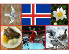 National Symbols of Iceland
