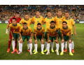Australia's 2014 World Cup Squad