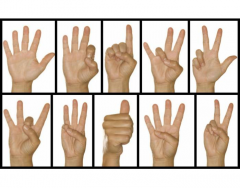 ASL Numbers 1 - 10