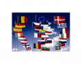 UE Members Flags