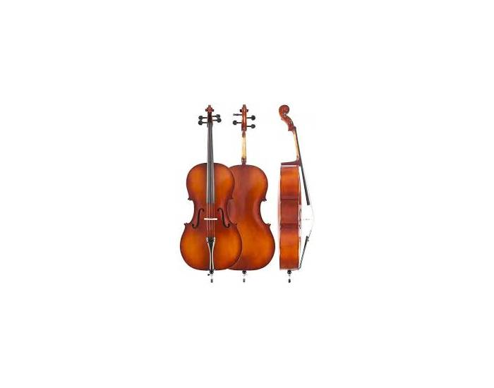 String Instrument Parts Quiz
