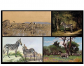  Zebras in Art: Paintings (Part 1)