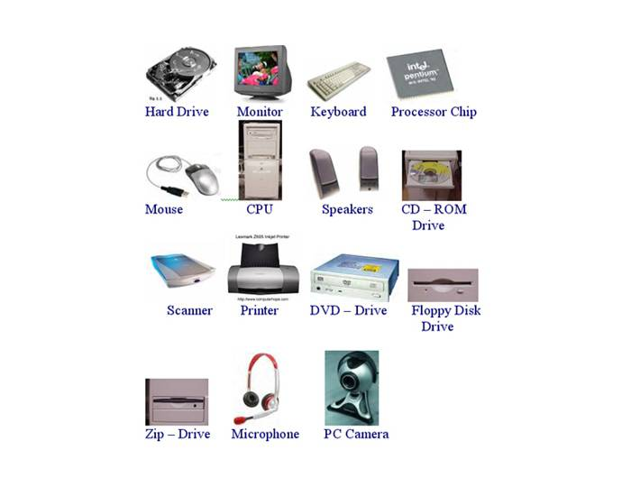 Input & Output Devices Quiz