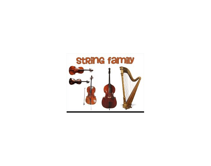 String Feamilly String Family Quiz at Eliza Pethebridge blog