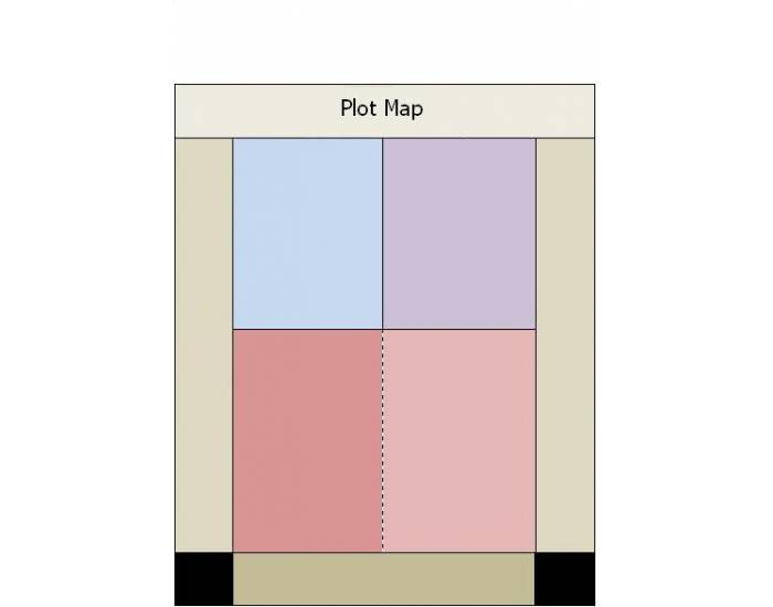 Plot Map - Identify Stages Quiz