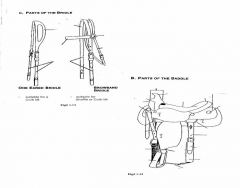 Parts of the Western Saddle/Bridle