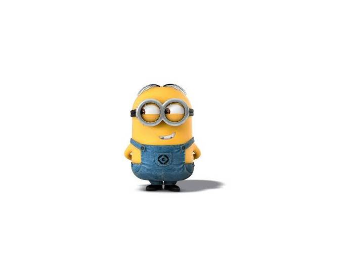 Parts of a minion Quiz