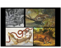 Caimans in Art: Paintings (Part 1)